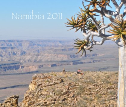 Namibia 2011 book cover