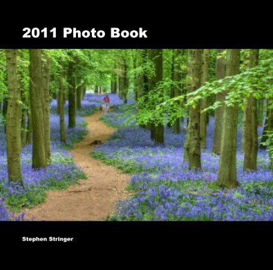 2011 Photo Book book cover