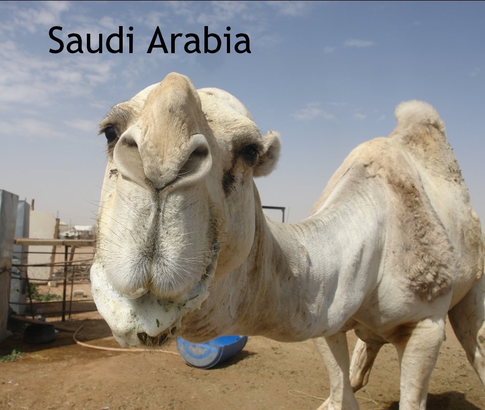 View Saudi Arabia by CharlesFred