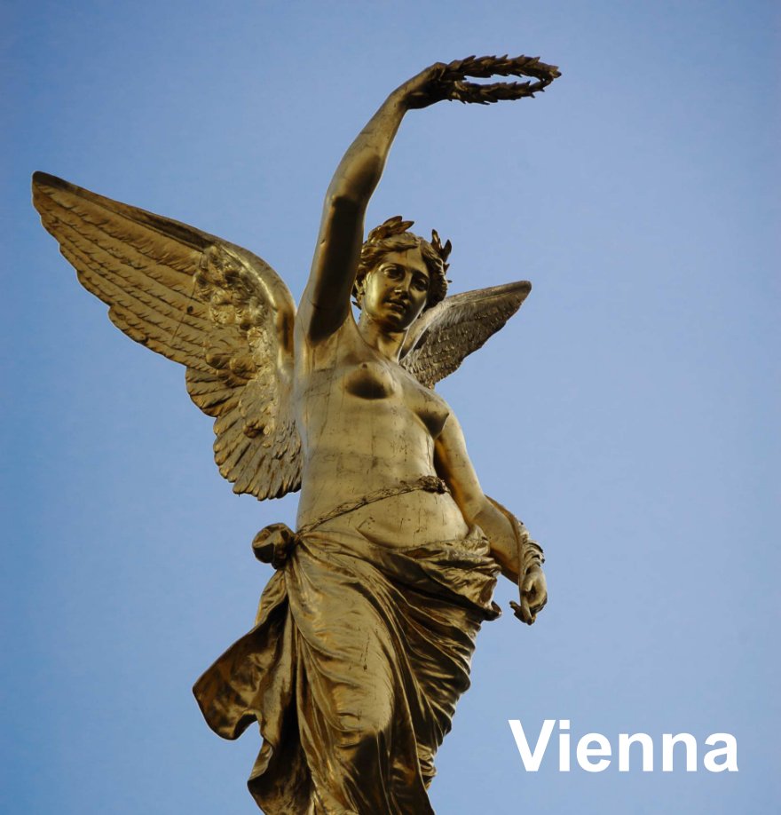 View Vienna by Thomas Fitzgerald