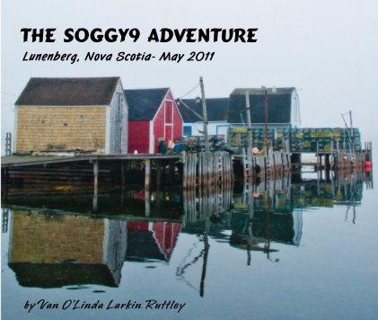 The Soggy9 Adventure book cover