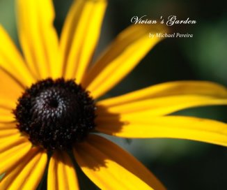 Vivian's Garden book cover
