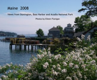Maine 2008 book cover