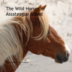 The Wild Horses of Assateague Island book cover
