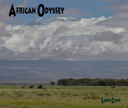 African Odyssey book cover