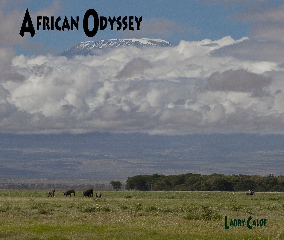 View African Odyssey by lcalof