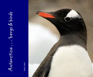 Antarctica . . . 'bergs & birds book cover