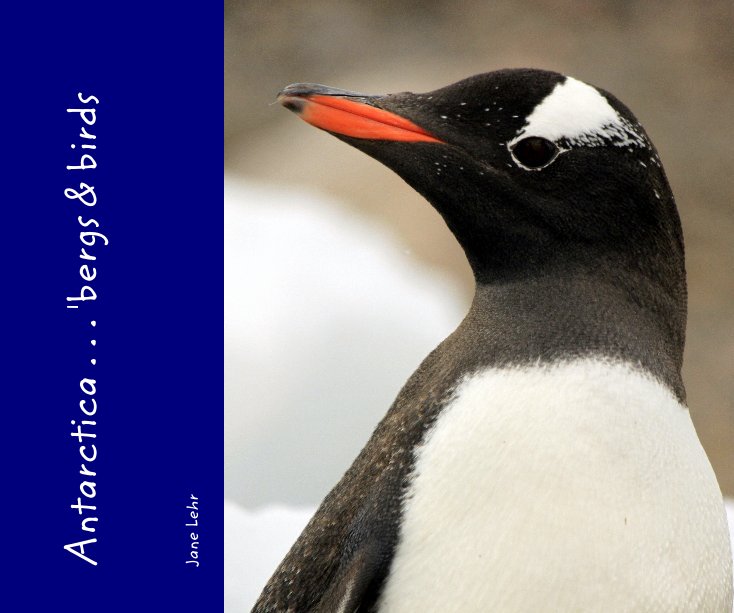 View Antarctica . . . 'bergs & birds by Jane Lehr