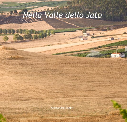 View Nella Valle dello Jato by Alessandro Zanini