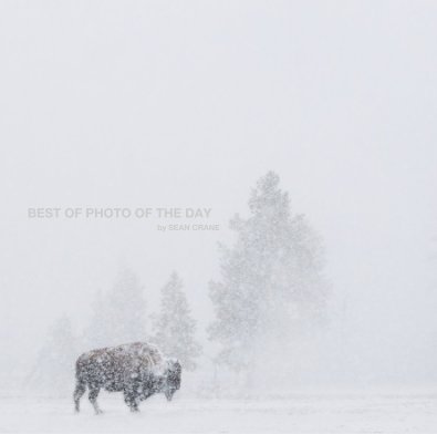 BEST OF PHOTO OF THE DAY book cover