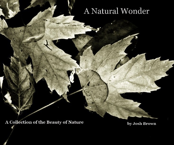 Ver A Natural Wonder por Josh Brown