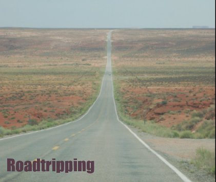 Roadtripping book cover