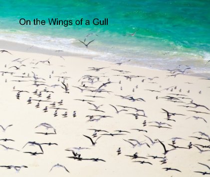 On the Wings of a Gull book cover