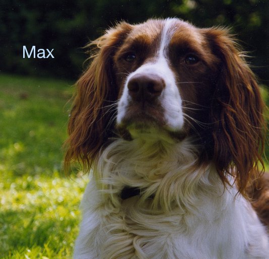Bekijk Max op image-maker