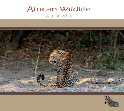 Zambie / Zambia 2011 book cover