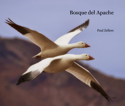 Bosque del Apache book cover