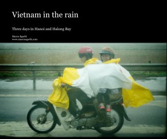 Vietnam in the rain book cover