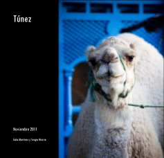 Túnez book cover