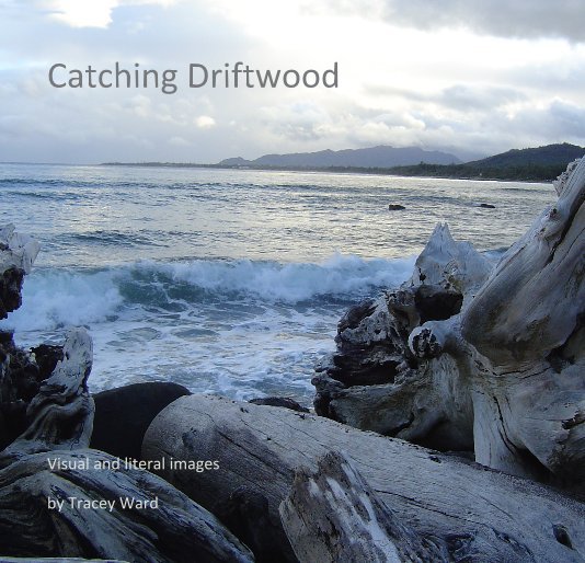 View Catching Driftwood by Tracey Ward