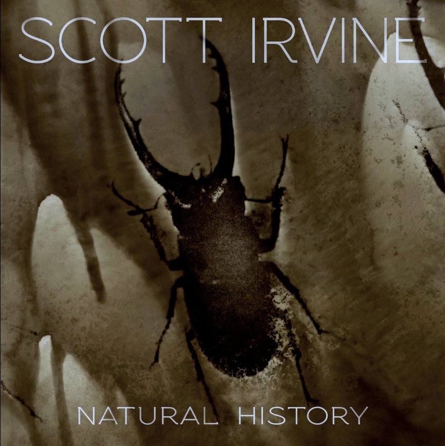 Visualizza Natural History 12"x12" di Scott Irvine