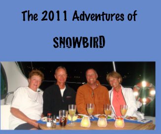 The 2011 Adventures of book cover