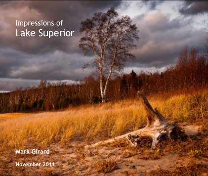 Impressions of Lake Superior book cover