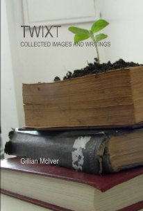 Twixt book cover