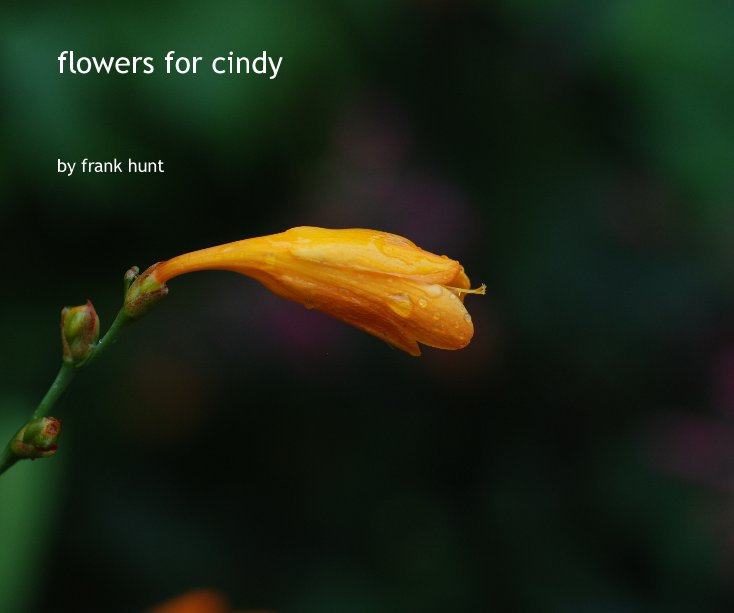 Ver flowers for cindy por frank hunt