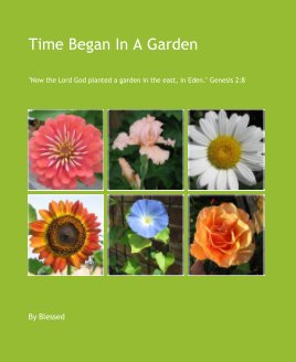 Time Began In A Garden book cover
