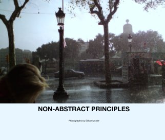 NON-ABSTRACT PRINCIPLES book cover