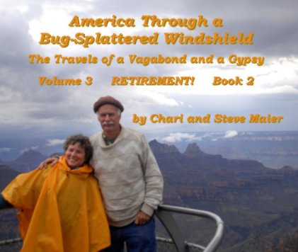 America Through a Bug-Splattered Windshield     The Travels of a Vagabond and a Gypsy book cover