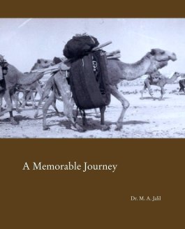 A Memorable Journey book cover