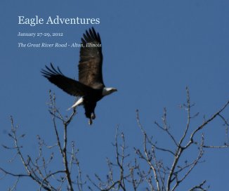 Eagle Adventures book cover