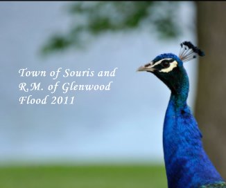 Town of Souris and R.M. of Glenwood Flood 2011 book cover