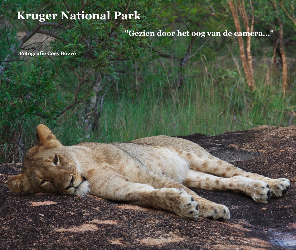 View Kruger National Park by Fotografie Cees Boevé