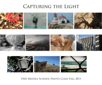 Capturing the Light book cover