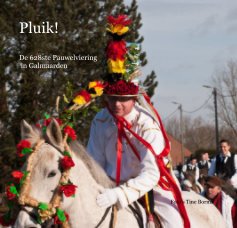 Pluik! De 628ste Pauwelviering in Galmaarden book cover