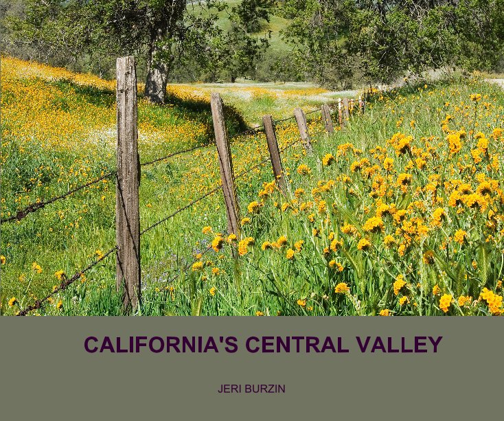 View CALIFORNIA'S CENTRAL VALLEY by Jeri Burin