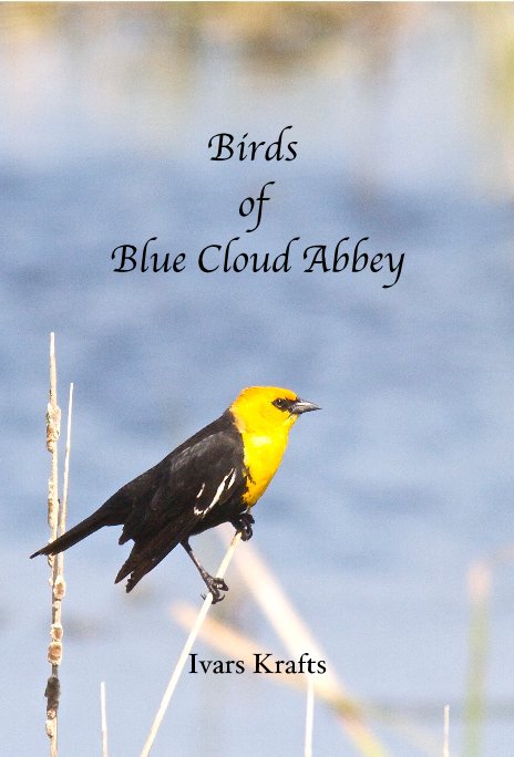 View Birds of Blue Cloud Abbey by Ivars Krafts