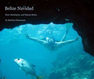 Belize Navidad book cover