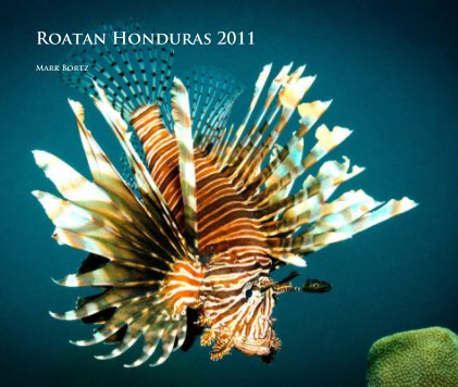 Roatan Honduras 2011 book cover