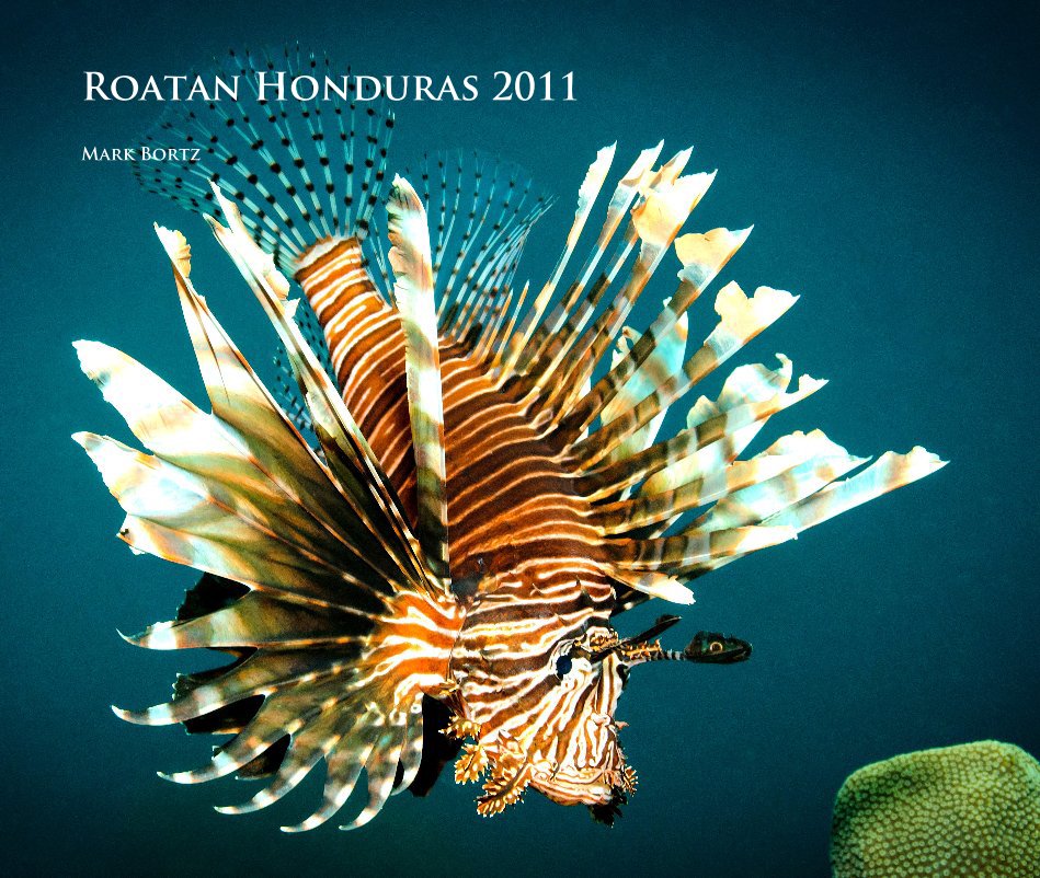 View Roatan Honduras 2011 by Mark Bortz