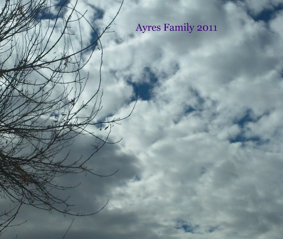 Ver Ayres Family 2011 por kristen2169