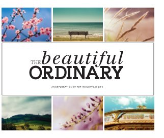 The Beautiful Ordinary book cover