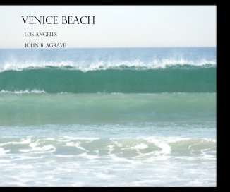 Venice Beach book cover