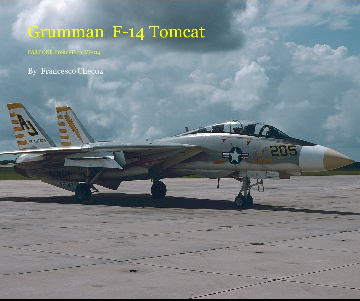 View Grumman F-14 Tomcat by Francesco Checuz
