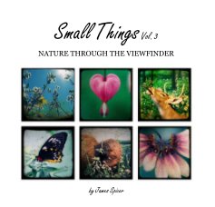 Small Things Vol. 3 book cover