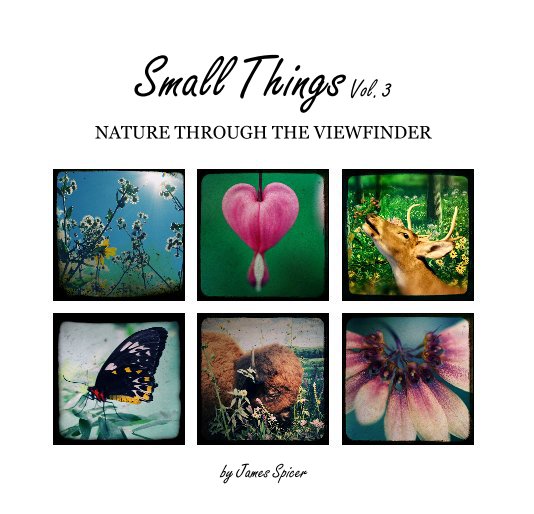 View Small Things Vol. 3 by James Spicer