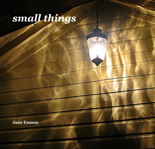 View small things by Jane Eamon