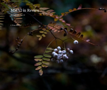 MMXI in Review Photographs, Vol. IV book cover